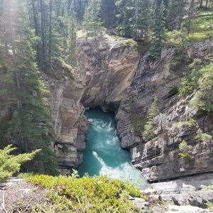 Meet your Posher, Dahlia